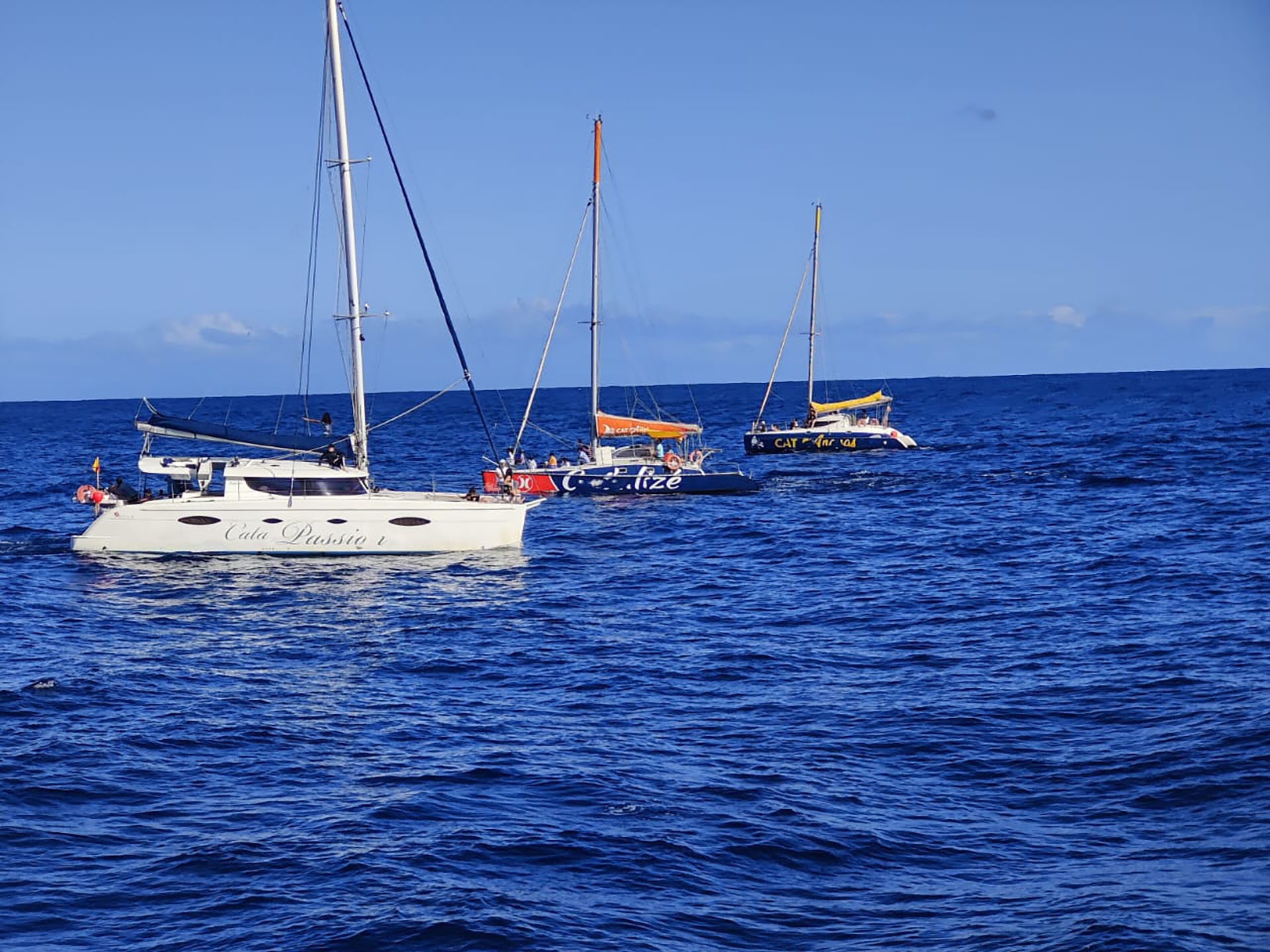 Avant d'explorer la mer, dcouvrez notre nouveau site !